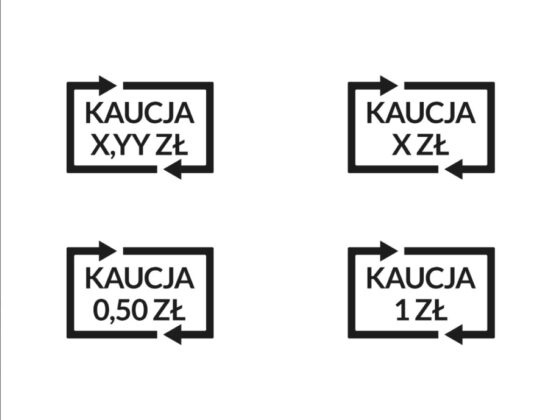 SYSTEM KAUCYJNY